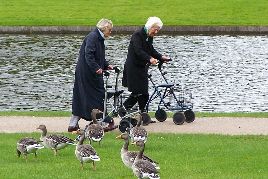 حضور در طبیعت و فضای سبز برای سالمندان از واجبات است