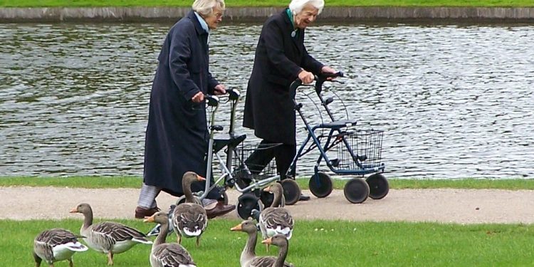 حضور در طبیعت و فضای سبز برای سالمندان از واجبات است