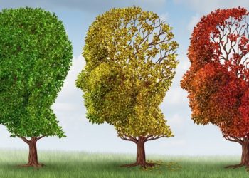 آیا می‌توانیم روند پیری مغز را تغییر دهیم؟