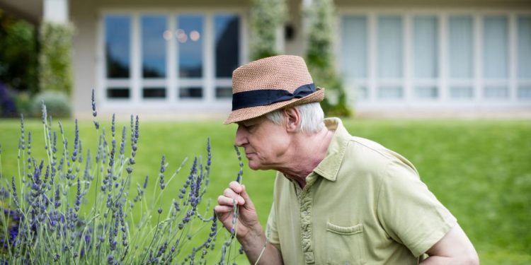 تمرین بویایی